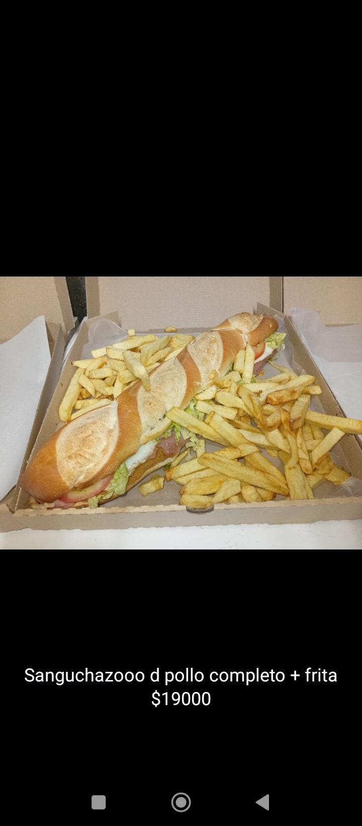 Sanguchazooo de pollo p2